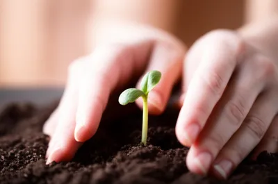 Illustration favoring - Image 1