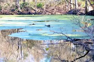 Illustration sink - Image 3