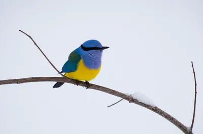 Illustration alien - Image 1