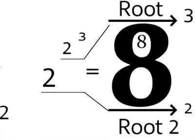 Illustration root - Image 1