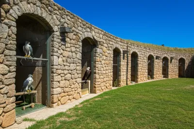 Illustration mews - Image 1