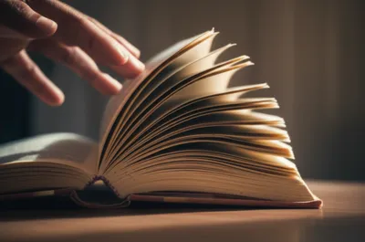 Illustration riffled - Image 1