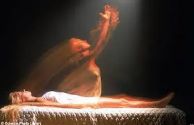 Illustration fetch - Image 2