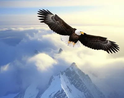 Illustration towers - Image 1