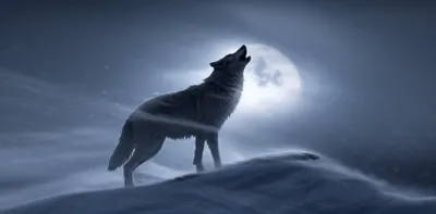 Illustration howls - Image 1