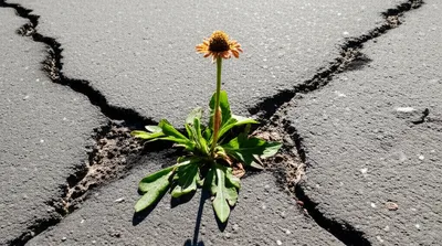 Illustration endured - Image 1