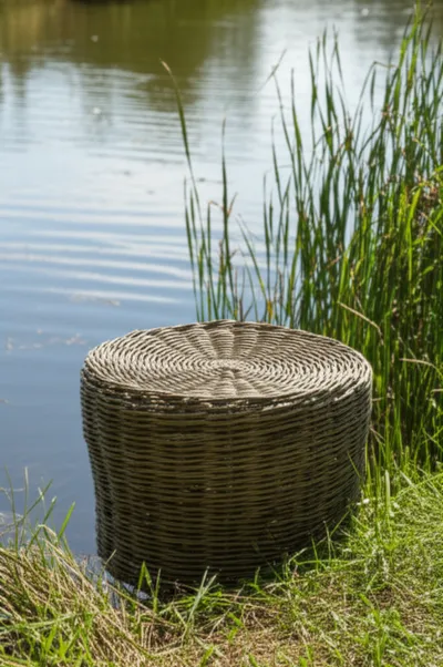 Illustration sedges - Image 1