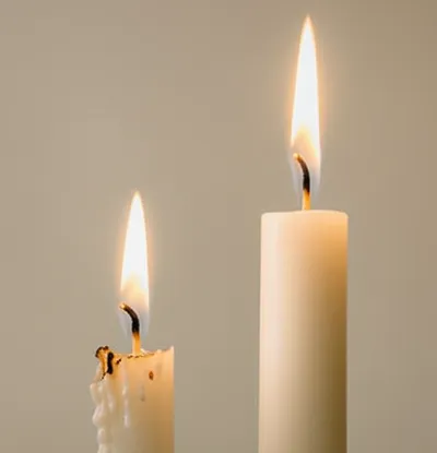 Illustration longer - Image 1