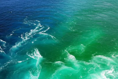 Illustration merged - Image 1