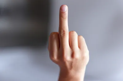 Illustration bird - Image 1