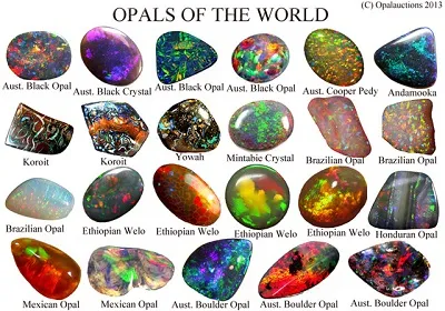 Illustration opal - Image 2