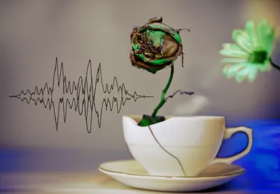 Illustration sour - Image 1