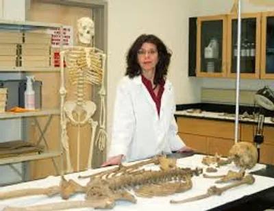 Illustration anthropologist - Image 2