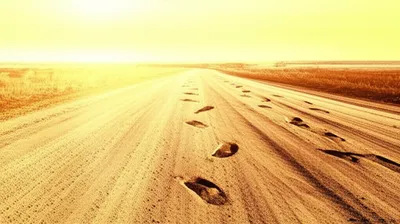 Illustration continued - Image 1