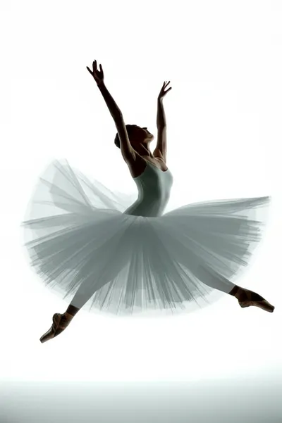Illustration twirls - Image 1