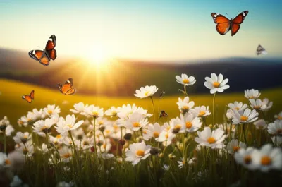 Illustration heaven - Image 1