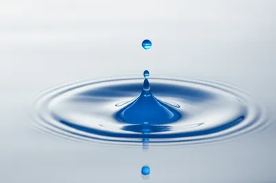 Illustration dab - Image 1