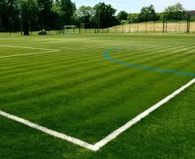 Illustration pitch - Image 2