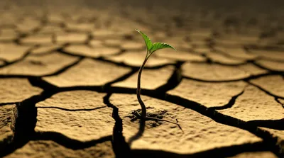 Illustration failure - Image 1