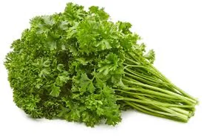 Illustration parsley - Image 2