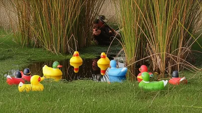 Illustration decoys - Image 1