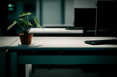 Illustration job - Image 1