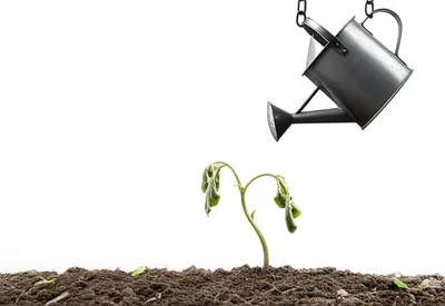 Illustration needing - Image 1