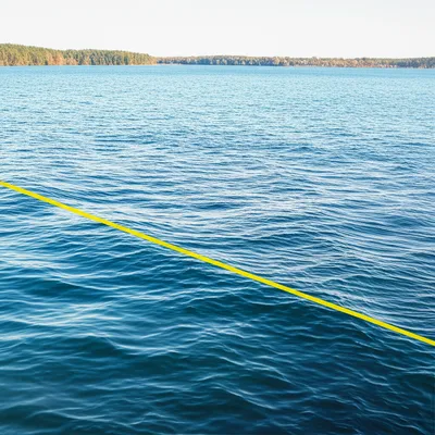 Illustration in - Image 1