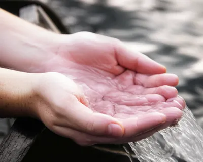 Hình ảnh minh họa paddles - Ảnh 1