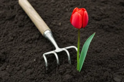 Illustration prong - Image 1