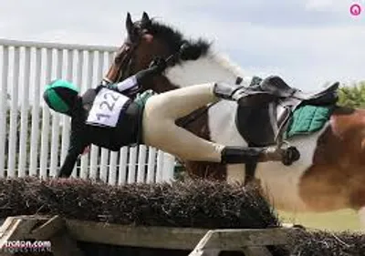 Illustration amateur - Image 2