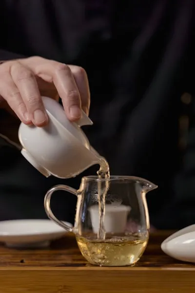 Illustration cha - Image 2