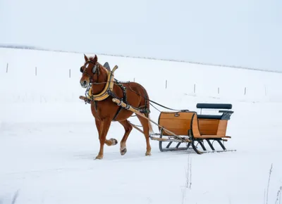 Illustration cutters - Image 1