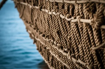 Hình ảnh minh họa quilting - Ảnh 1