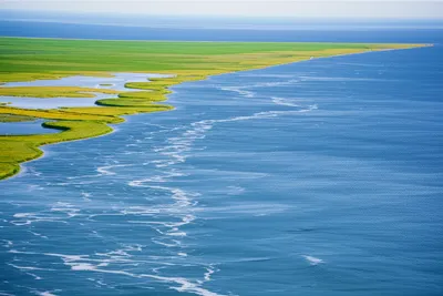 Illustration emptied - Image 1