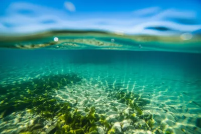 Illustration bright - Image 1