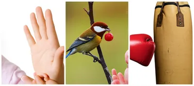 Illustration dabs - Image 1