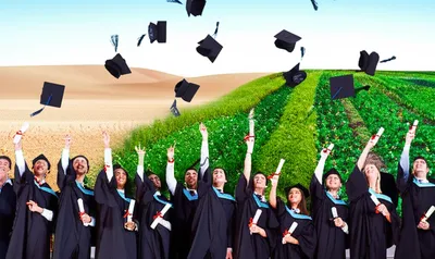 Illustration accomplishments - Image 2