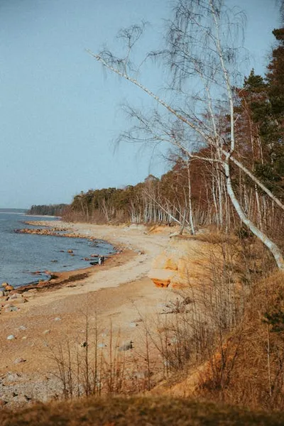 Illustration waterline - Image 3