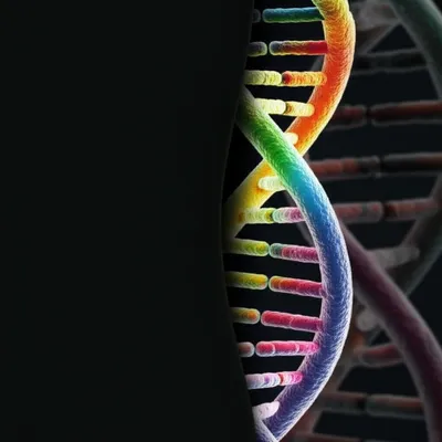 Illustration silencing - Image 1