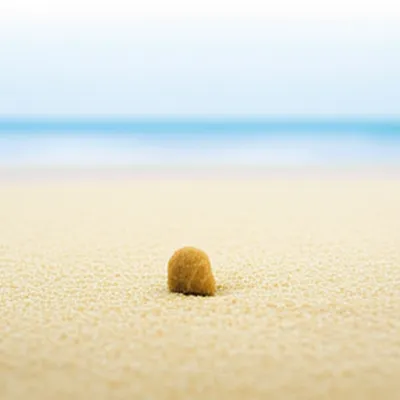 Illustration modicum - Image 1