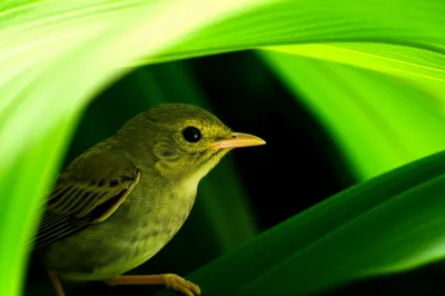 Illustration screen - Image 1