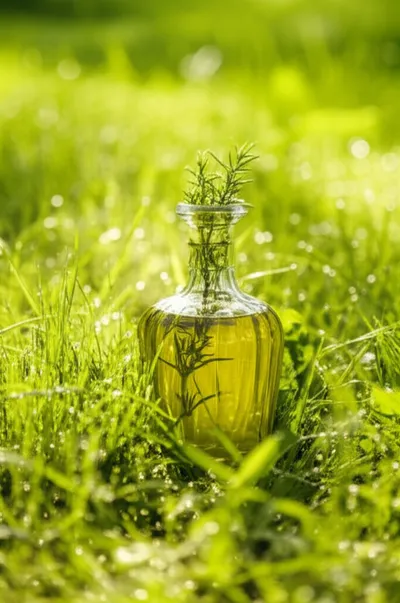 Illustration absinthe - Image 1