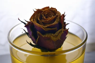 Illustration soured - Image 1