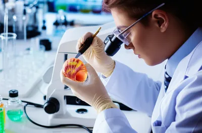 Illustration subject - Image 1