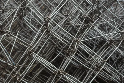 Illustration reedy - Image 1