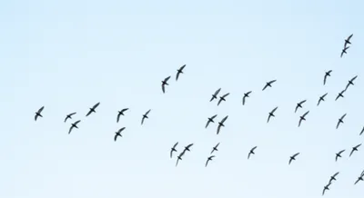 Illustration trends - Image 1