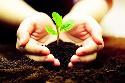 Illustration cherishes