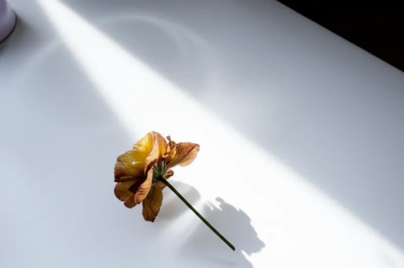 Визуальная иллюстрация слова «leave» - Оставлять, приводить к