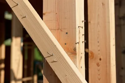 Illustration toed - Image 1